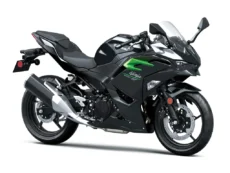 Kawasaki Ninja 500 (2025) - na objednávku